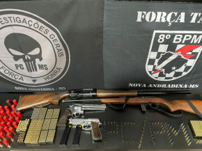 Ação conjunta recupera armas e munições furtadas de colecionador