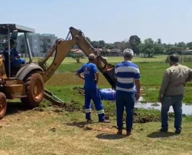 Cemar pede celeridade na limpeza de lago no Parque Municipal Rego D’Água