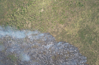 Projeto ' caixa corta-fogo' pretende prevenir incêndios no Pantanal