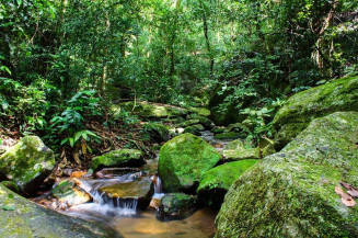 Sancionada lei que reforça Fundo Nacional do Meio Ambiente