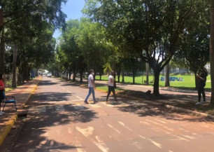 Pesquisa aponta o impacto do uso de celular no trânsito