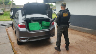 DOF apreende quase 350 quilos de drogas e recupera veículo roubado