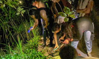 Naturalistas amadores contribuem com descobertas científicas