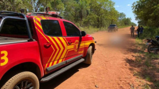 Motociclista morre após atropelar anta em cidade de MS