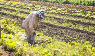Ministro do Desenvolvimento Agrário pede reforço para recursos da sua Pasta em 2024