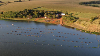 Publicado Edital de R$ 10 milhões para projetos de aquicultura
