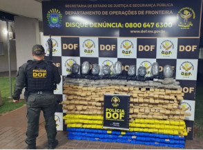 DOF apreende quase meia tonelada de drogas em terreno baldio do Água Boa