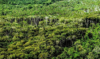 Esforços do Brasil para reduzir emissões de gases do efeito estufa são insuficientes
