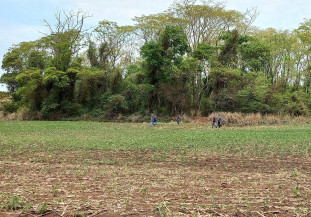 Polícia faz busca em mata por homem desaparecido há duas semanas