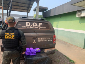 DOF apreende maconha e haxixe que seriam entregues em São Paulo