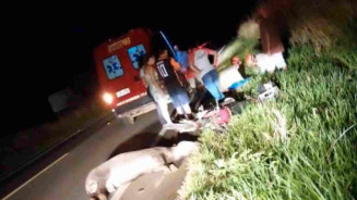 Colisão com anta deixa motociclista ferido na MS-178 em Bonito