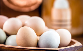 Japão reabre mercado para produtos avícolas do Mato Grosso do Sul