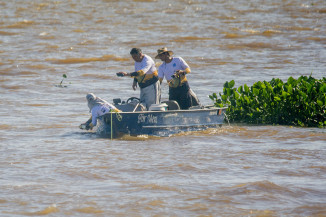Piracema começa no próximo domingo em todo o MS