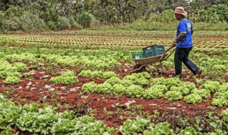 Comissão aprova projeto que isenta produtor rural pessoa física de pagar salário-educação
