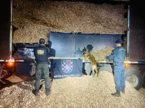 Polícia apreende maconha e pneus em carretas avaliados em R$ 11 milhões