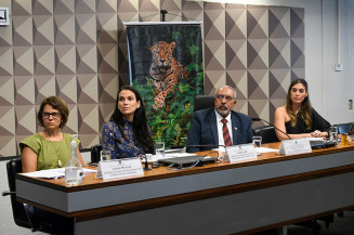 Destruição dos biomas atinge direitos da população