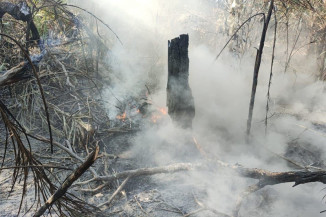 Incêndio no Pantanal leva Governo decretar emergência em 5 cidades