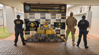 Quase meia tonelada de maconha escondida em mata é apreendida