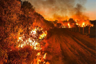 Chuva ameniza incêndios na região do Pantanal