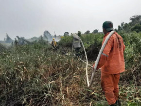 Chuva  põe fim aos focos de incêndios no Pantanal