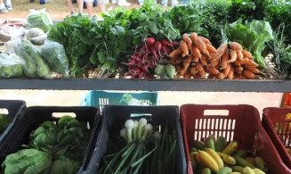  Clima e troca de safras influenciam em alta de preços de frutas e hortaliças