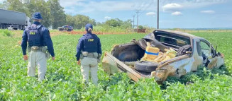 Motorista capota carro lotado de maconha durante perseguição