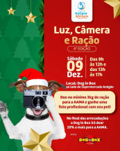 Ação de Natal troca fotografia de tutor com o pet por ração