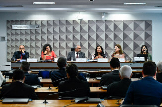Proteção a idoso e pessoa com deficiência tem caráter urgente