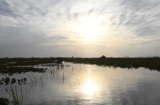 Instrumento para preservação e desenvolvimento, Lei do Pantanal tem reconhecimento de entidades e ONGs