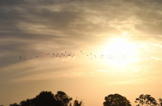Sábado tem previsão de sol mas instabilidades podem ocorrer no período da tarde em MS