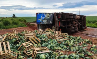 Motorista tomba caminhão e carga de repolho se esparrama em rodovia