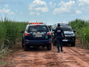 Corpo de mulher é encontrado dentro de carro em canavial