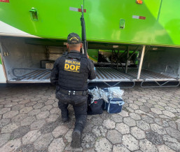 Genro e sogra são presos com drogas em ônibus de passageiro