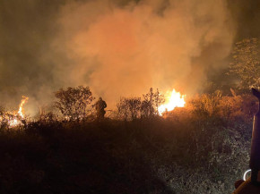 Satélite identifica fazenda que teve origem a incêndio no Pantanal e multa é de R$ 19 milhões