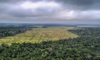 Estudo quer fim do desmatamento legal para zerar gases estufa no país 