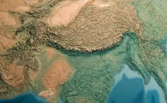 Pampa Sul-Americano perdeu 20% de vegetação campestre