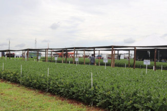 Coamo inaugura em Dourados a primeira Fazenda Experimental no Mato Grosso do Sul
