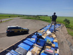 Polícia apreende 3,7 toneladas de maconha, um fuzil e munições