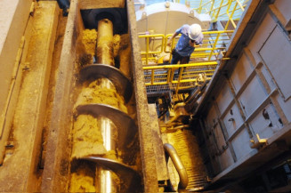 Moagem de cana registra crescimento de 16%