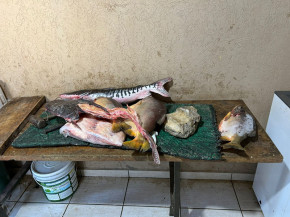 Polícia Civil, em ação conjunta com Polícia Militar Ambiental, deflagram operação de combate à pesca ilegal