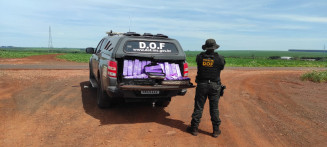DOF apreende droga que seria levada para Rondônia e prende duas mulheres
