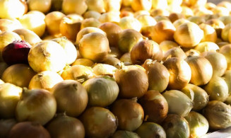  Cebola, alface e batata registram nova alta nos preços no atacado