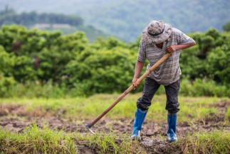 Falta de documentação pode inviabilizar a aposentadoria rural