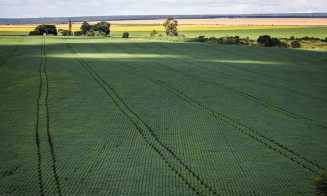 Agricultura vai querer voltar para mercado de carbono