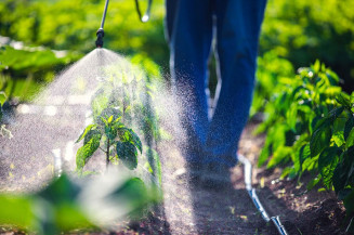 Sancionada nova Lei dos Agrotóxicos com vetos