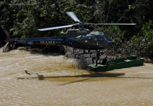 Governo Federal retoma política ambiental e climática
