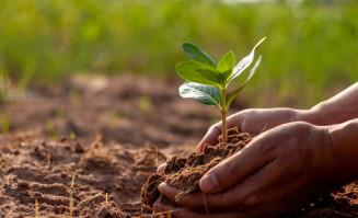 Programa de Seguro Rural garante proteção a milhares de produtores em meio a desafios em 2023
