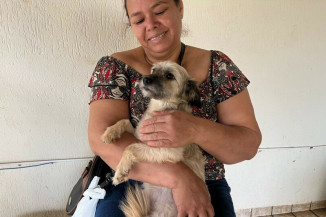 Inscrições ao programa de castração seguem até a próxima segunda