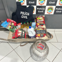 Ação conjunta entre as Polícias Civil e Militar resulta na prisão de autor de furto
