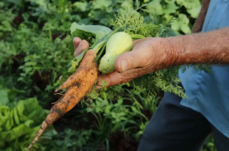 Primeiro projeto do ano garante alimentos da agricultura familiar na merenda escolar